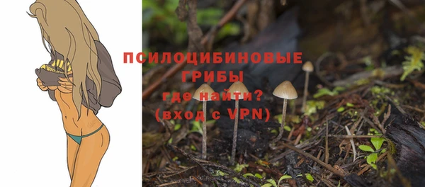 mix Аркадак