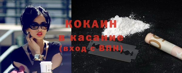 дмт Арсеньев