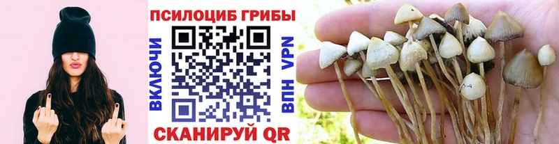 мега ССЫЛКА  Мышкин  Псилоцибиновые грибы MAGIC MUSHROOMS 